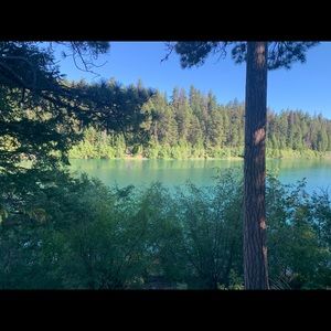 Meet your Posher, Celina